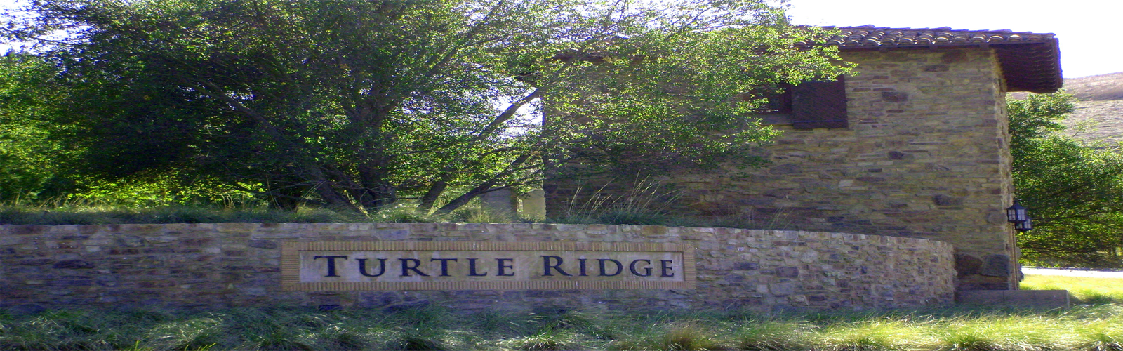 Turtle Ridge
